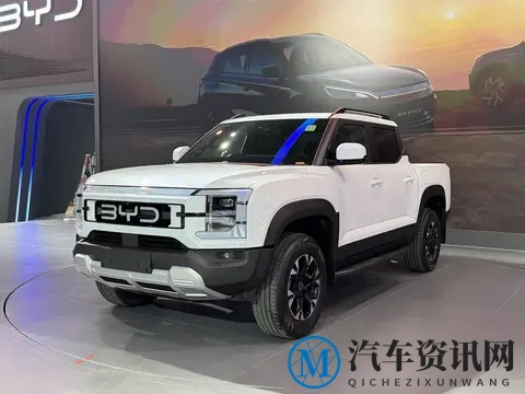 说一个怪事:有些车企老总,唱衰新能源车,反而成了“仗义执言”-1