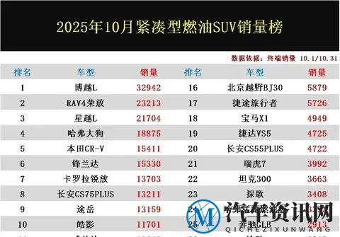 卖得越多，跌得越狠？这些SUV的10月数据藏着血淋淋的真相-1