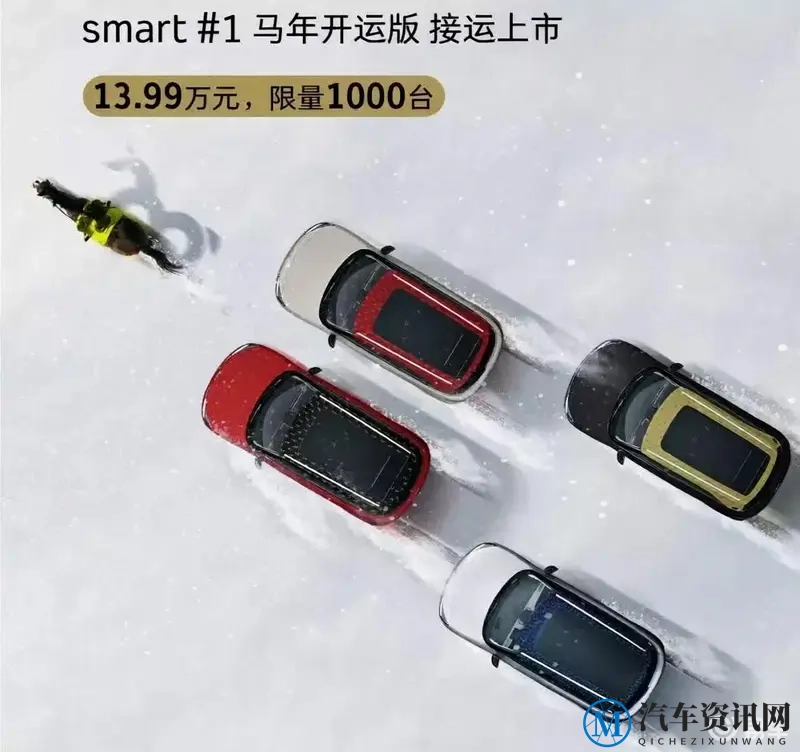 Smart限量版个性车,13.99万,独特魅力-1