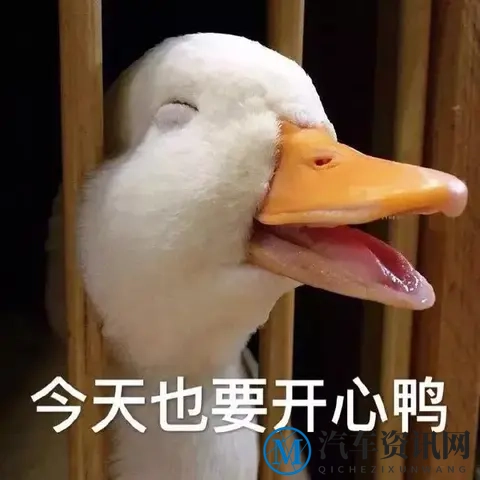 同样的车,为啥你油耗比别人高?学会这几招,一箱油多跑100公里-1