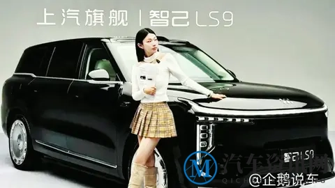 月销45.4万辆，碾压比亚迪，这款新车续航直逼1500km！-3