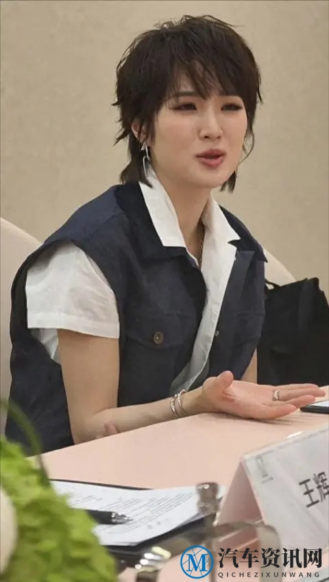 姚安娜一句话戳破选车真相！-2