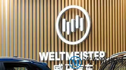 一夜负债200亿，电动车巨头轰然倒塌，车主导航已开到海里！-1