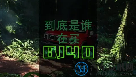 第223期：到底是谁在买北京越野BJ40？-1