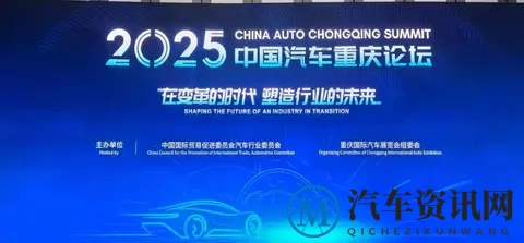 说一个怪事:有些车企老总,唱衰新能源车,反而成了“仗义执言”-2