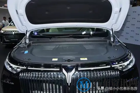 新車：售70.99万_四布局_中大型MPv，岚图梦想家山河上市-1